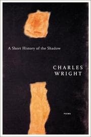 Tapa de A short history of the shadow