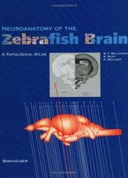 Tapa de Neuroanatomy of the zebrafish brain