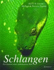 Tapa de Schlangen