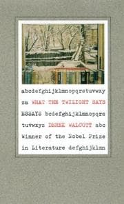 Tapa de What the twilight says