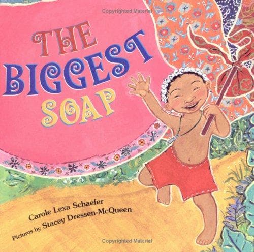 Tapa de The biggest soap