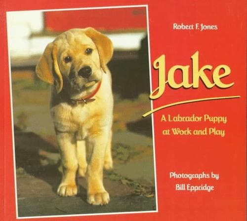 Tapa de Jake