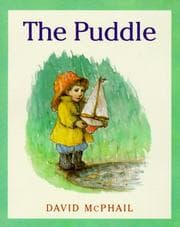 Tapa de Puddle