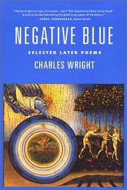 Tapa de Negative Blue