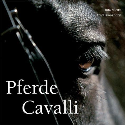 Tapa de Horse (Brick)