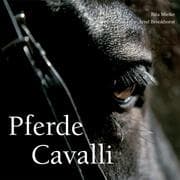 Tapa de Horse (Brick)