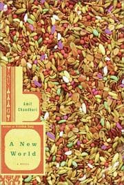 Tapa de A new world