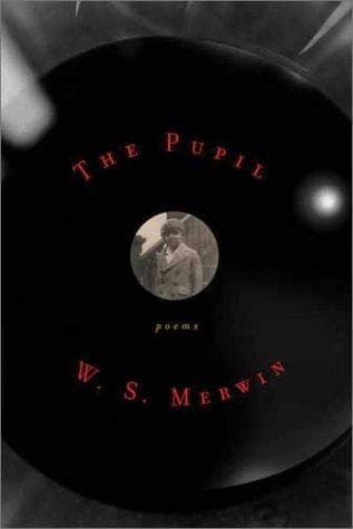 Tapa de The pupil
