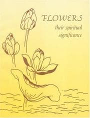 Tapa de Flowers