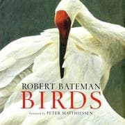 Tapa de Birds