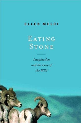 Tapa de Eating Stone