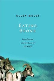 Tapa de Eating Stone