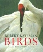 Tapa de Birds