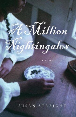 Tapa de A million nightingales