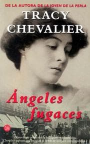 Tapa de Ángeles fugaces (Falling Angels)