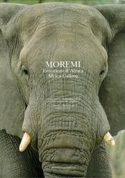 Tapa de Moremi