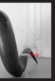 Tapa de Tony Cragg