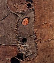 Tapa de Burri