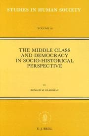 Tapa de The middle class and democracy in socio-historical perspective