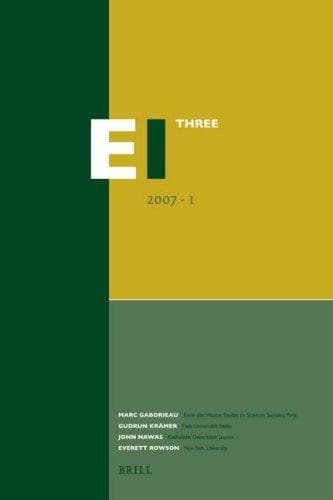 Tapa de EI 2007-3