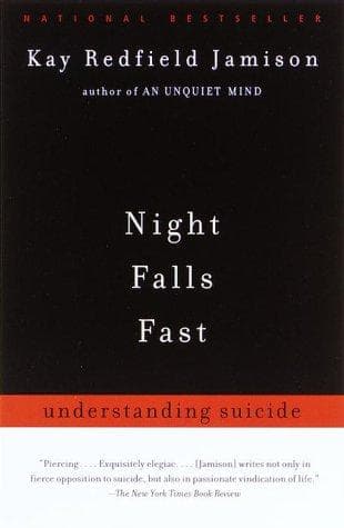 Tapa de Night Falls Fast