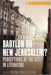 Tapa de Babylon or New Jerusalem? Perceptions of the City in Literature (DQR Studies in Literature, 32) (Dqr Studies in Literature, 32)