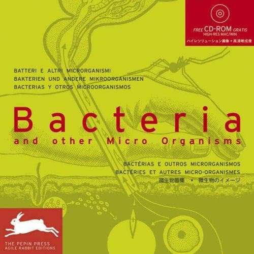 Tapa de Bacteria and Other Micro Organisms