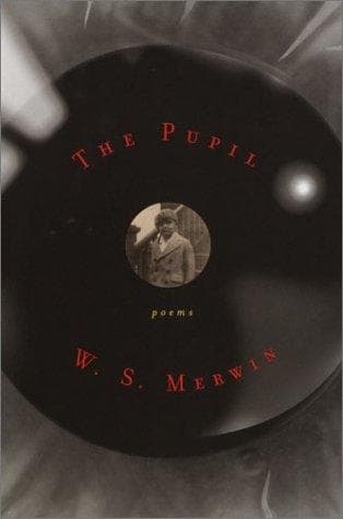 Tapa de The Pupil