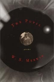 Tapa de The Pupil