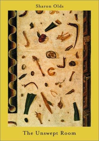 Tapa de The unswept room