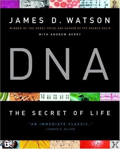 Tapa de DNA