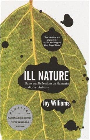 Tapa de Ill Nature