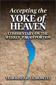 Tapa de Accepting the Yoke of Heaven