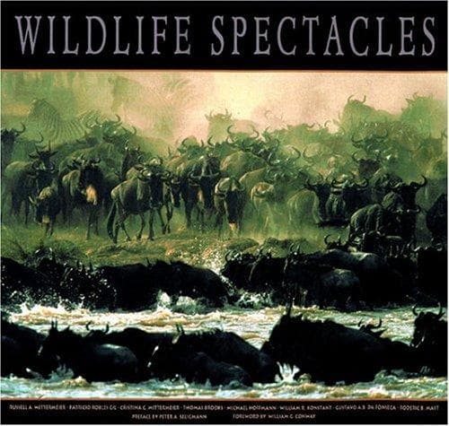 Tapa de Wildlife Spectacles