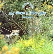 Tapa de Ahí viene el lobo gris (Animales de America)