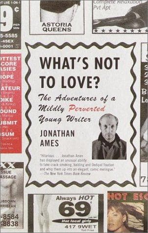 Tapa de What's Not to Love?