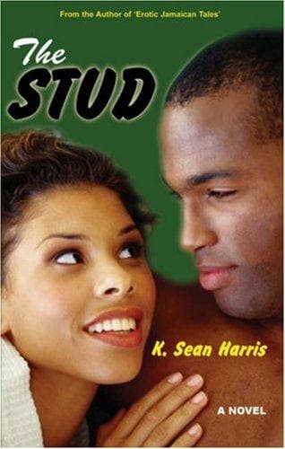 Tapa de The Stud