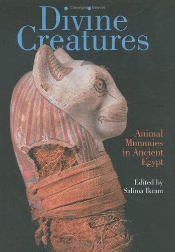 Tapa de Divine Creatures