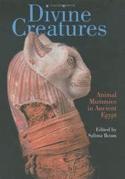 Tapa de Divine Creatures