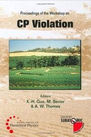Tapa de Proceedings of the workshop on CP violation