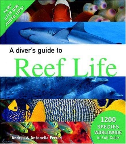 Tapa de A diver's guide to reef life