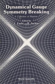 Tapa de Dynamical gauge symmetry breaking