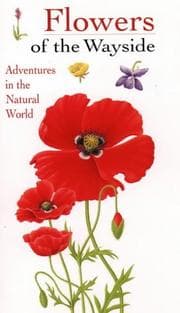Tapa de Flowers of the Wayside