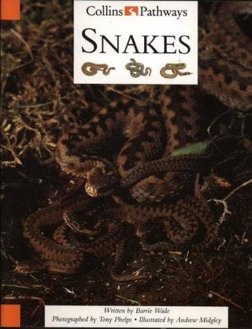 Tapa de Snakes