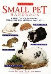 Tapa de The Small Pet