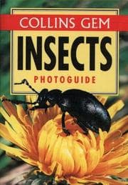 Tapa de Collins Gem Insects Photoguide