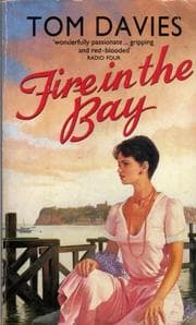 Tapa de Fire in the Bay