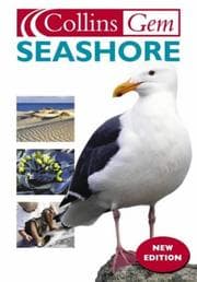 Tapa de Seashore