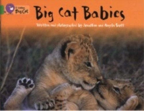 Tapa de Big Cat Babies
