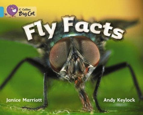 Tapa de Fly Facts